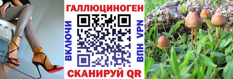Галлюциногенные грибы прущие грибы  купить   Вилюйск 